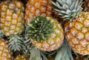 Beautiful fresh pineapples during a cooking vacation with The International Kitchen.