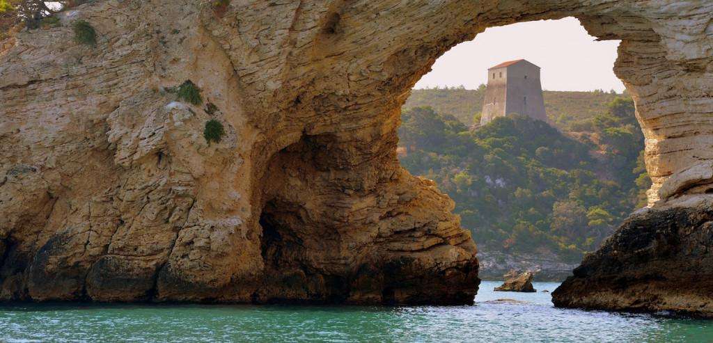 image for Dinner Dish: Italy Food Tours – Ran-Away Fish Soup