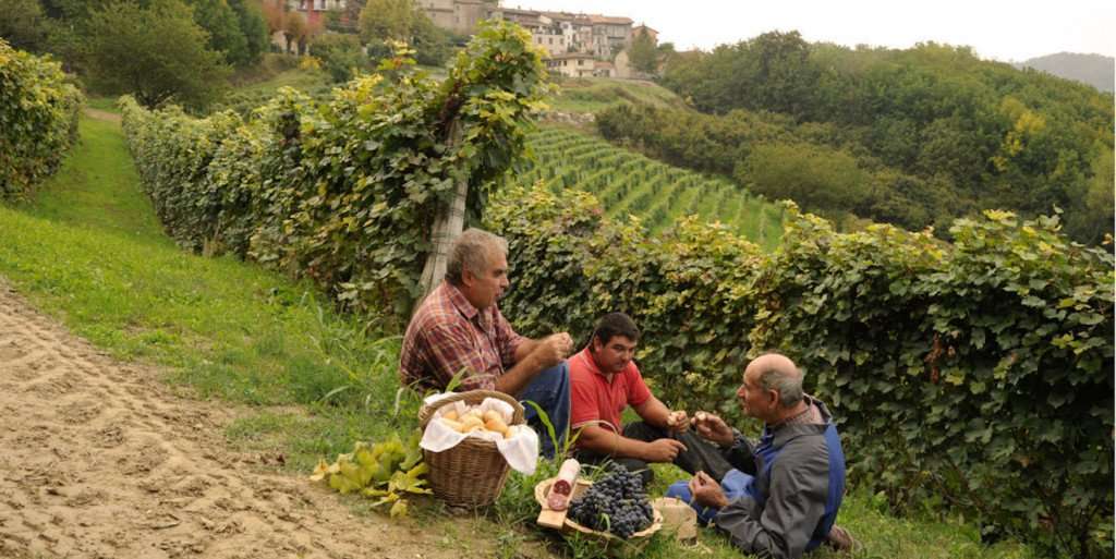 Image for Food and Wine Tours to Italy: A Guide to  Piedmont Wines