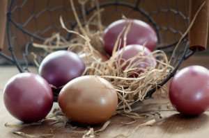 Decorated eggs for Easter.
