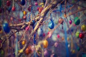 Colorful Easter eggs hanging in a tree.