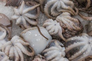 Small raw octopus on Italy food tour