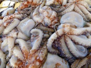 Fresh fish at Puglia sea port