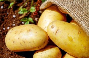 Potatoes prepped for a cooking class in Italy