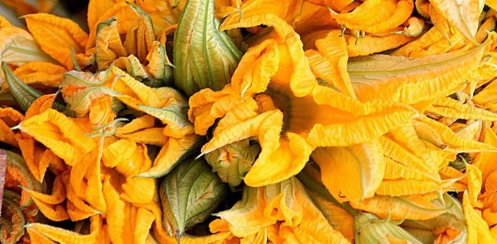 image for Zucchini Flowers Recipe from Tuscany Culinary Vacation