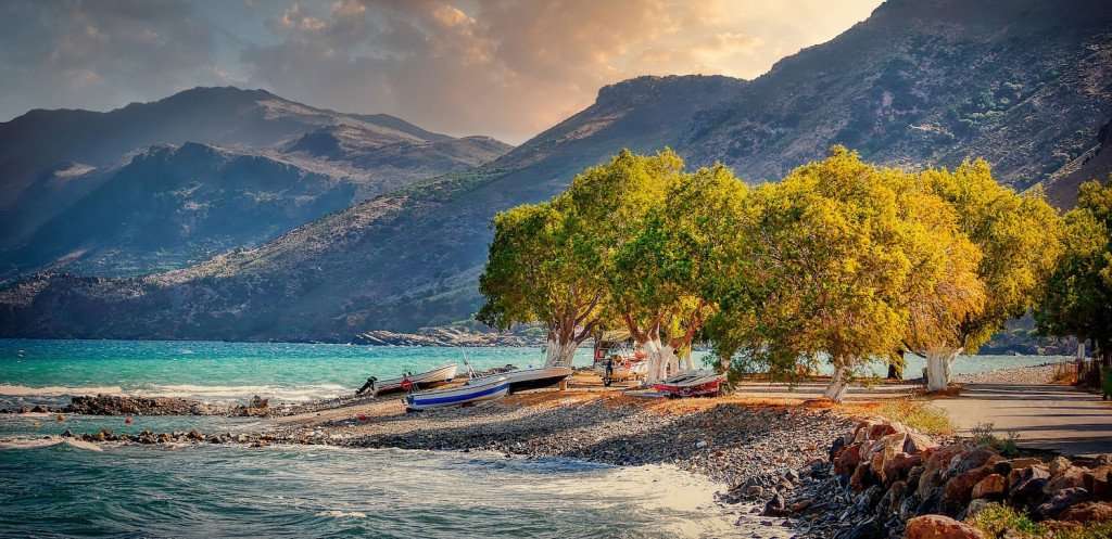 Image for The Cretan Diet Guide: Products, Rules and Recipes