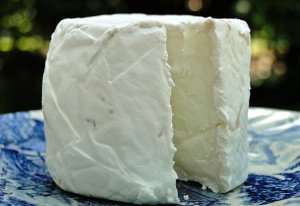 Goat's milk cheese on a Provence cooking vacation.