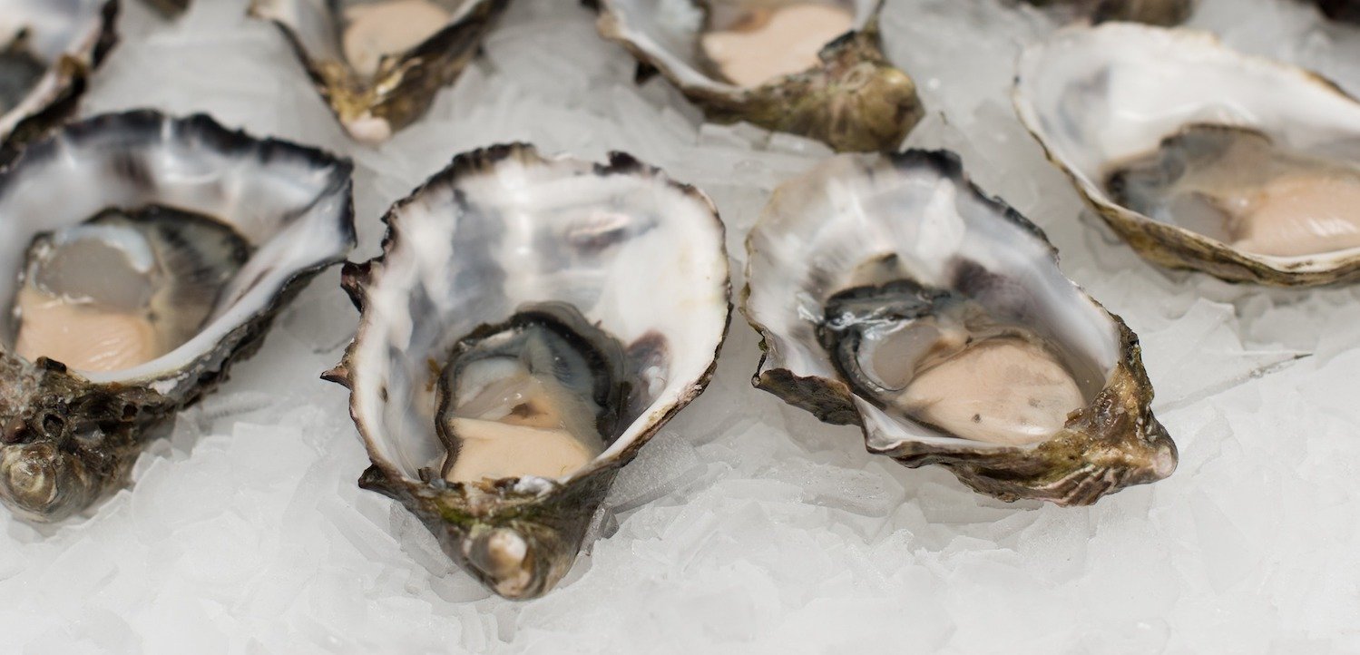 Cooking Vacations to Europe How to Harvest Fresh Oysters