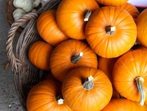Pumpkins for a cooking class