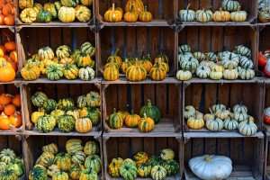 Delicious fall pumpkins and squash during a cooking vacation with The International Kitchen.