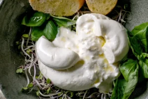 Burrata on a culinary vacation in Puglia, Italy