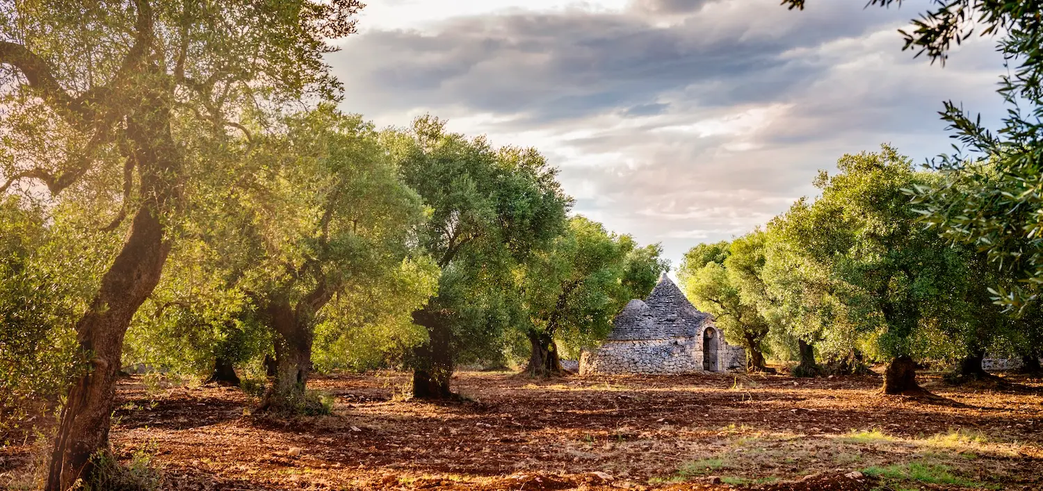 image for A Culinary Vacation in Abruzzo and Puglia