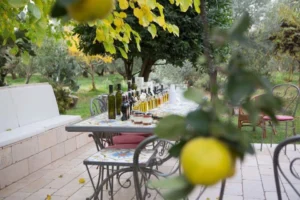 An olive oil tasting in Molise.