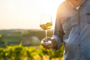 Wine tasting in Friuli-Venezia Giulia.