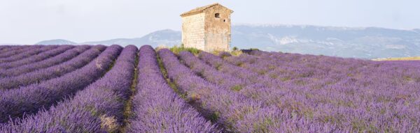 Image for  Tours