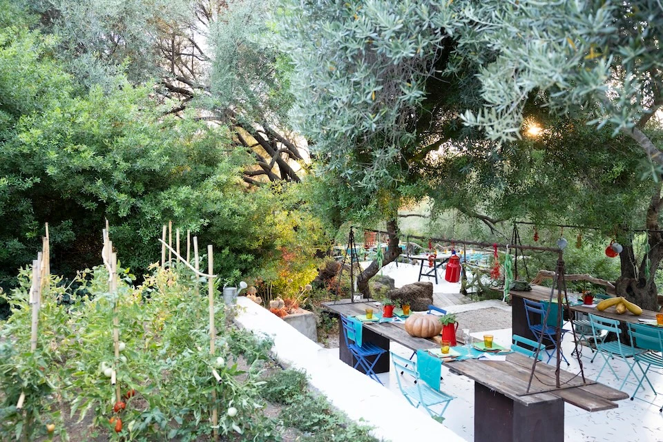 Image for Visiting the vegetable garden at Hotel Su Gologone