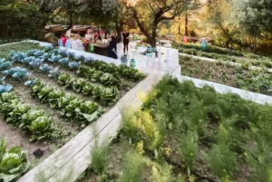 The vegetable garden at Hotel Su Gologone