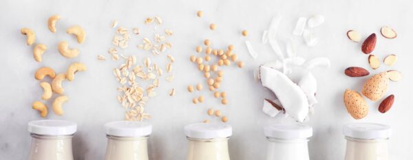Icon for Dairy Free