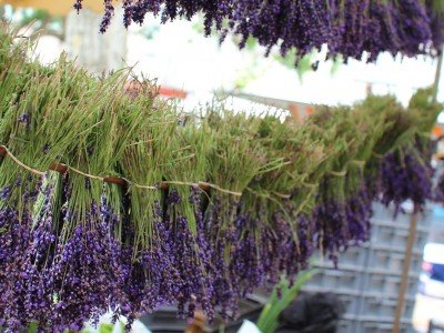 Lavender hanging at the market on a French culinary tour