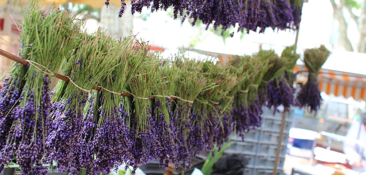 image for Cuisine & Culture of Provence
