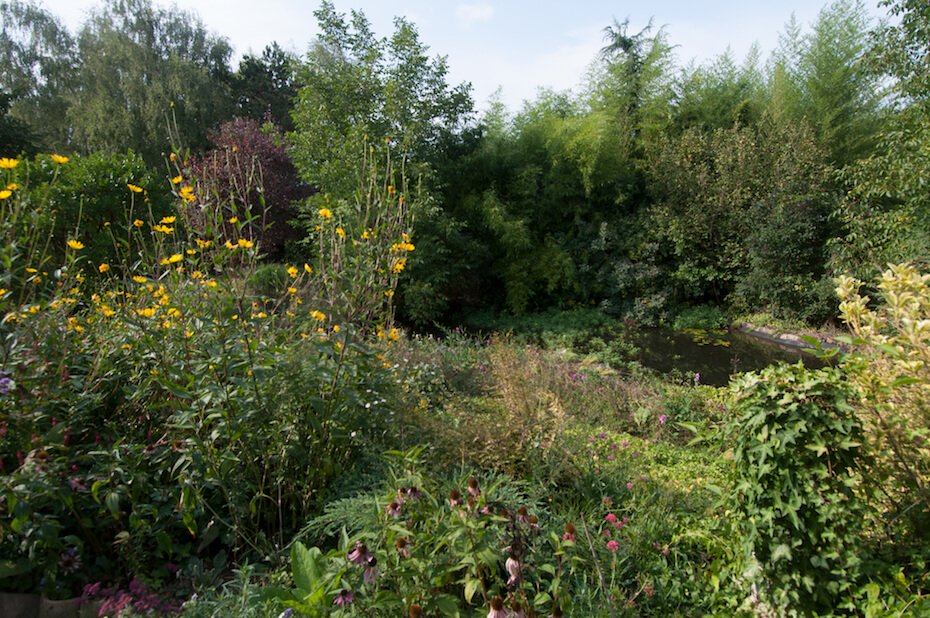 Image for Garden in Burgundy during your gourmet French cooking vacation