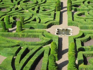 Villandry gardens as seen from above on a French culinary tour in the Loire Valley