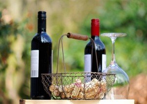 Tasting wines on a wine tour of Provence