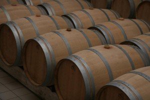 Wine barriques on a wine for food tour