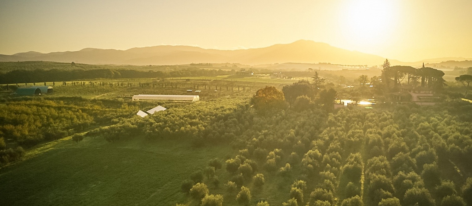 image for All-Inclusive Cooking Vacations in Italy - Cooking in the Sabine Hills