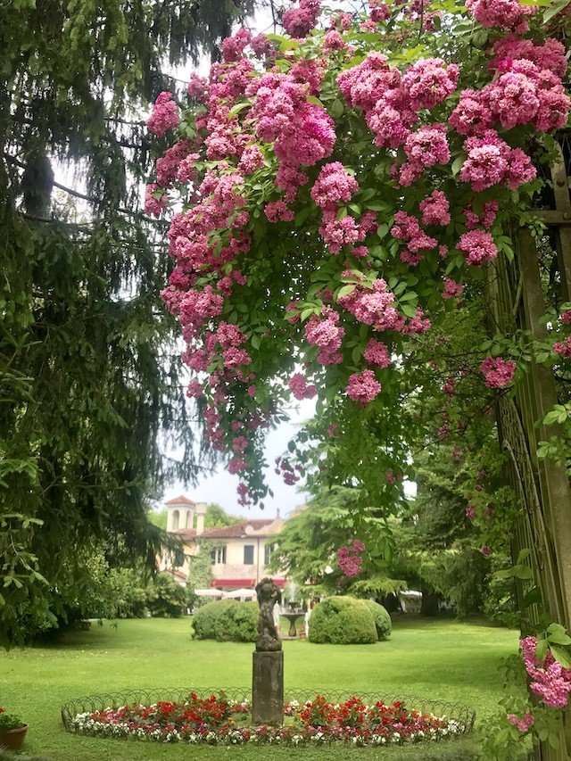 Image for The flowering garden of the villa, yours to explore during your culinary vacation in Italy.