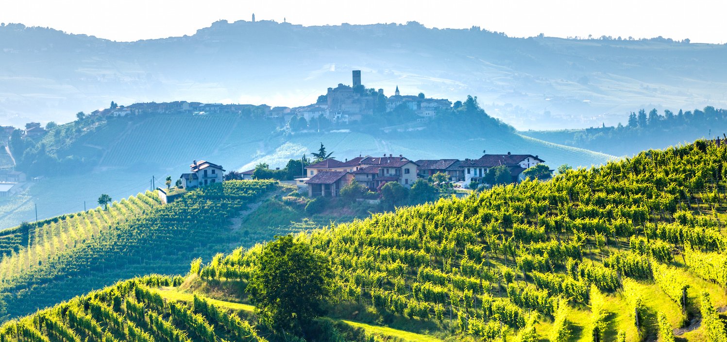 image for Italian Food & Wine Tours and Cooking Courses in Piedmont