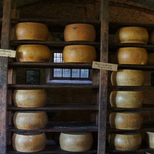 Parmigiano wheels on a farm to table cooking vacation