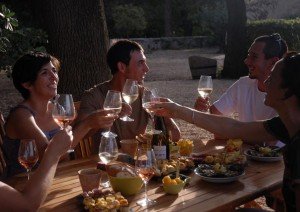 Wine tasting at a winery in the Languedoc