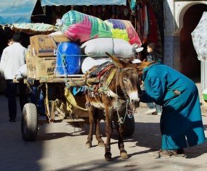 Vendor selling goods from his cart during a culinary tour of Morocco