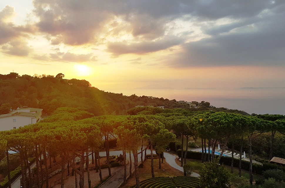 Image for The view of the park and the sunset.