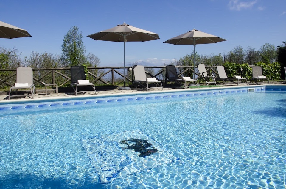Image for The hotel pool surrounded by the garden.