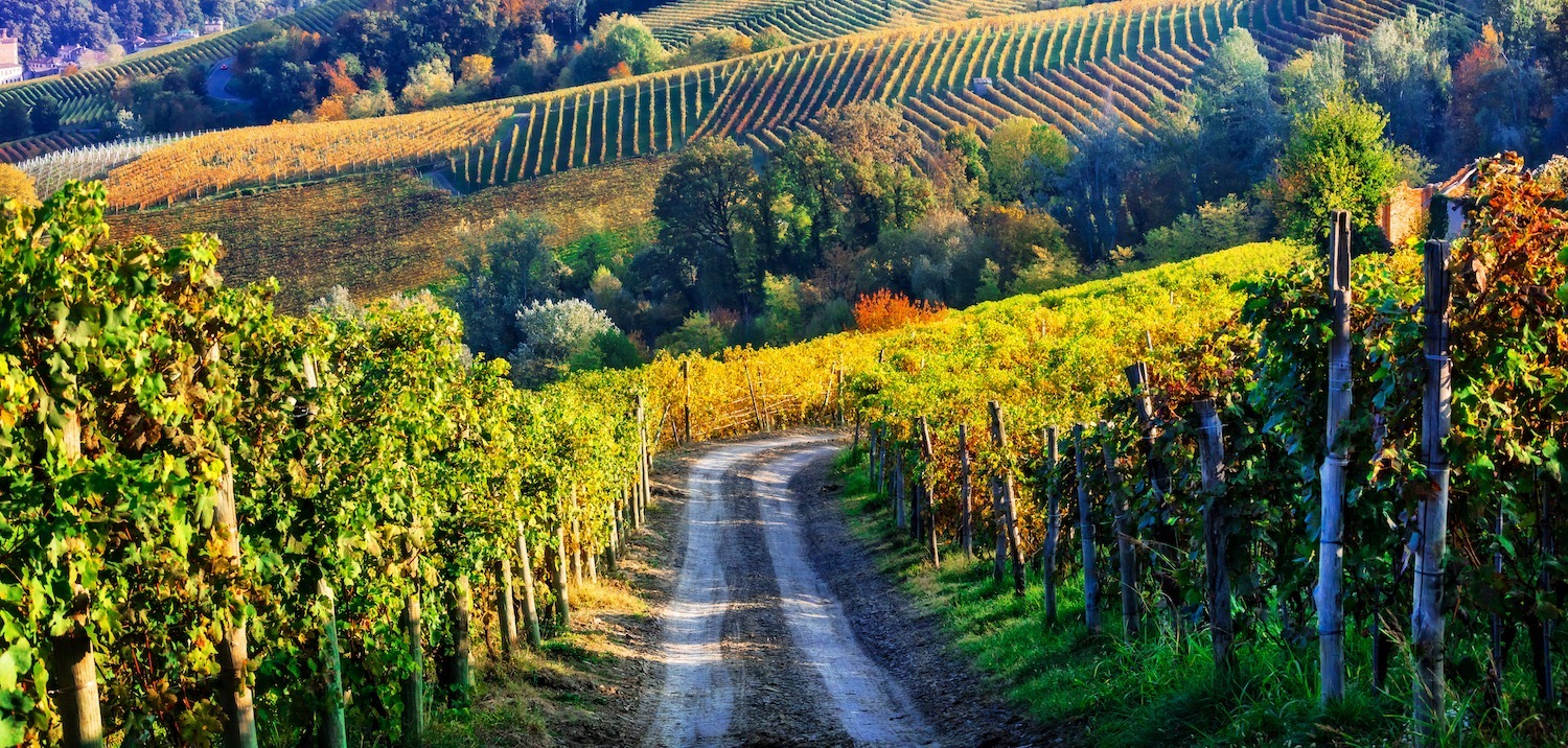 image for Authentic Italian Cooking Vacation in Piedmont