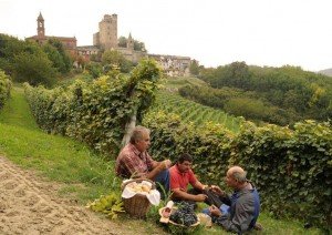 Enjoying a picnic in the vineyards on a Piedmont culinary tour of Italy