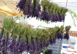 Lavender at market in Provence