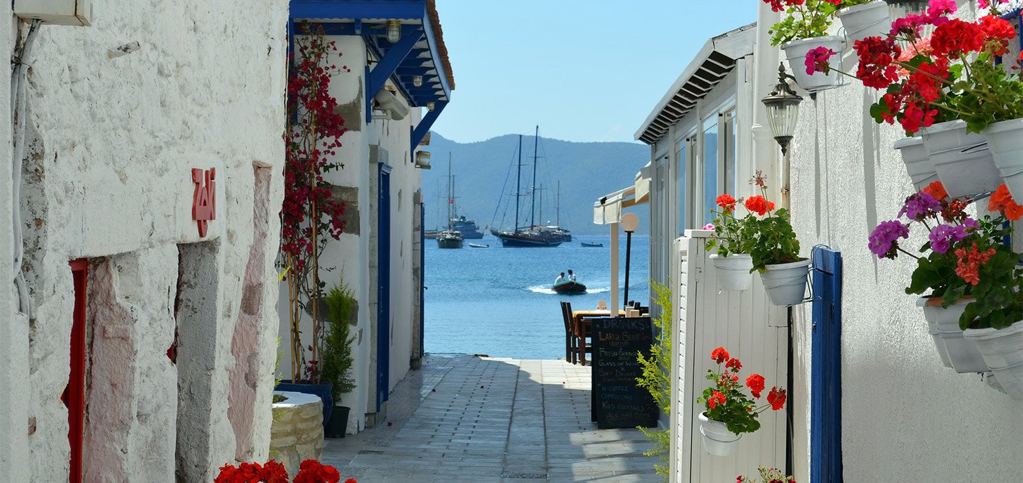 image for Cooking on Turkey's Aegean Coast
