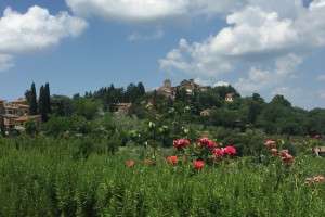 The countryside of the Chianti part of Tuscany.