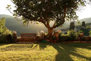 Exploring the beautiful Chianti during your Tuscan villa culinary tour.