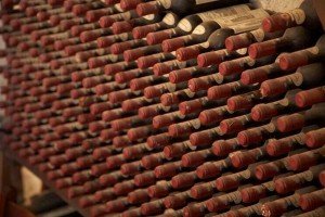 Bottles of wine in a cellar during a culinary tour of Tuscany