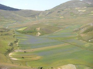 View of the Umbrian hills during your culinary vacation in Italy