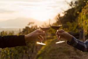Toasting in a vineyard during a Tuscany wine tour.