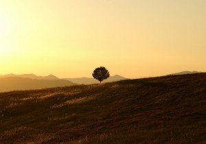 View of the Umbrian countryside at sunrise