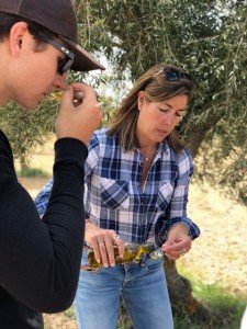 Olive oil tasting during a culinary tour of Spain