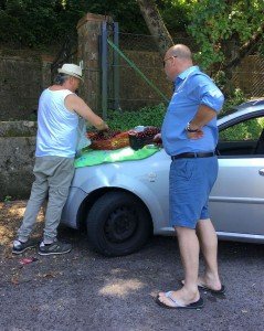 Buying cherries on the Amalfi Coast
