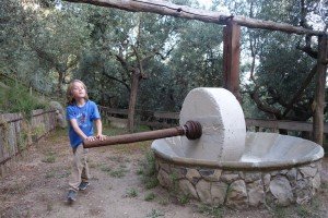 Ancient olive press on an Amalfi Coast culinary tour