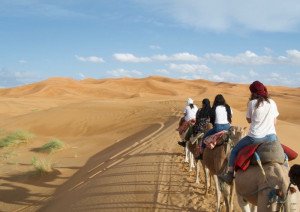 Riding on camel to your desert encampment during your Luxury Morocco Culinary Tour